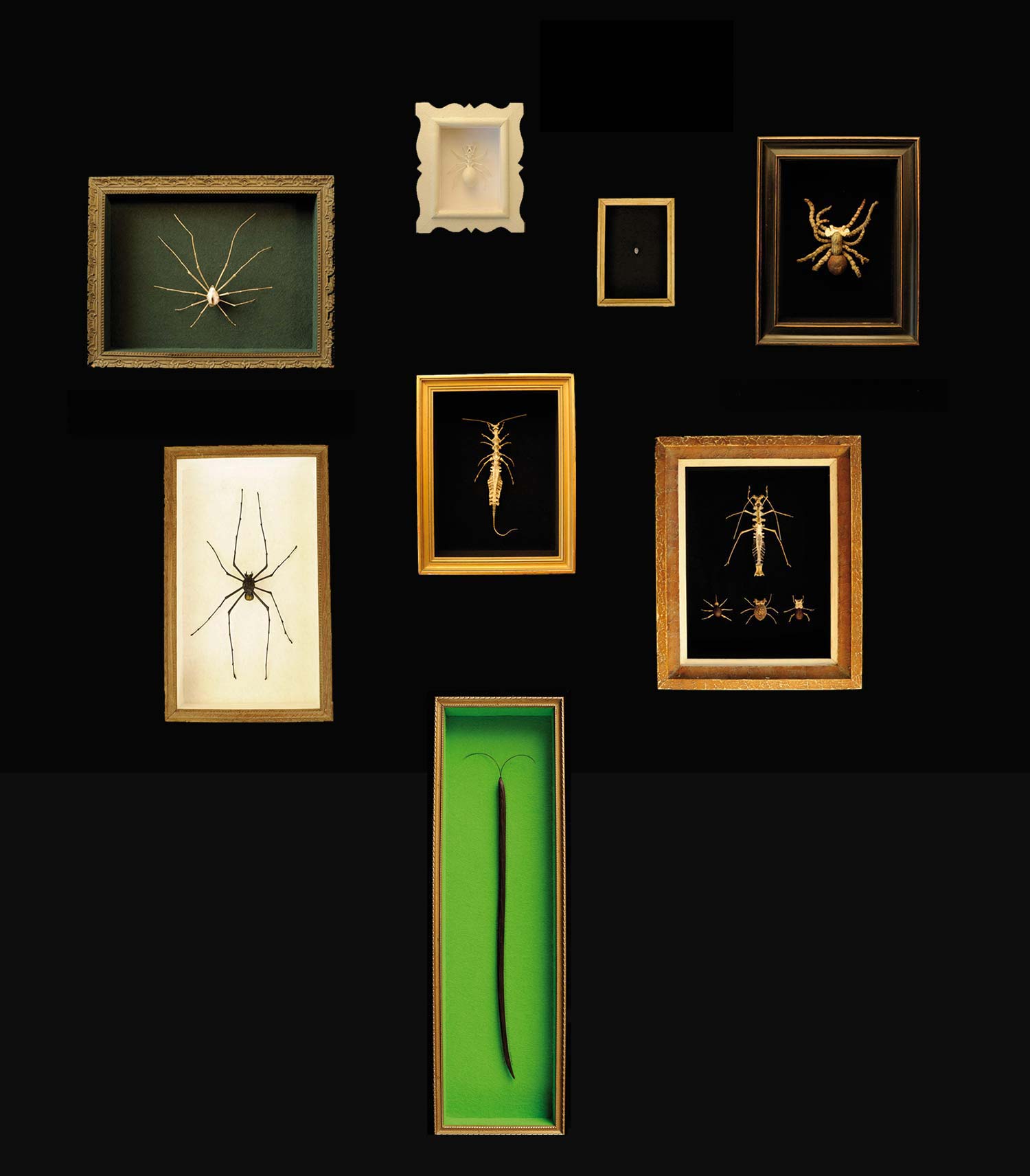 composition des boîtes 1