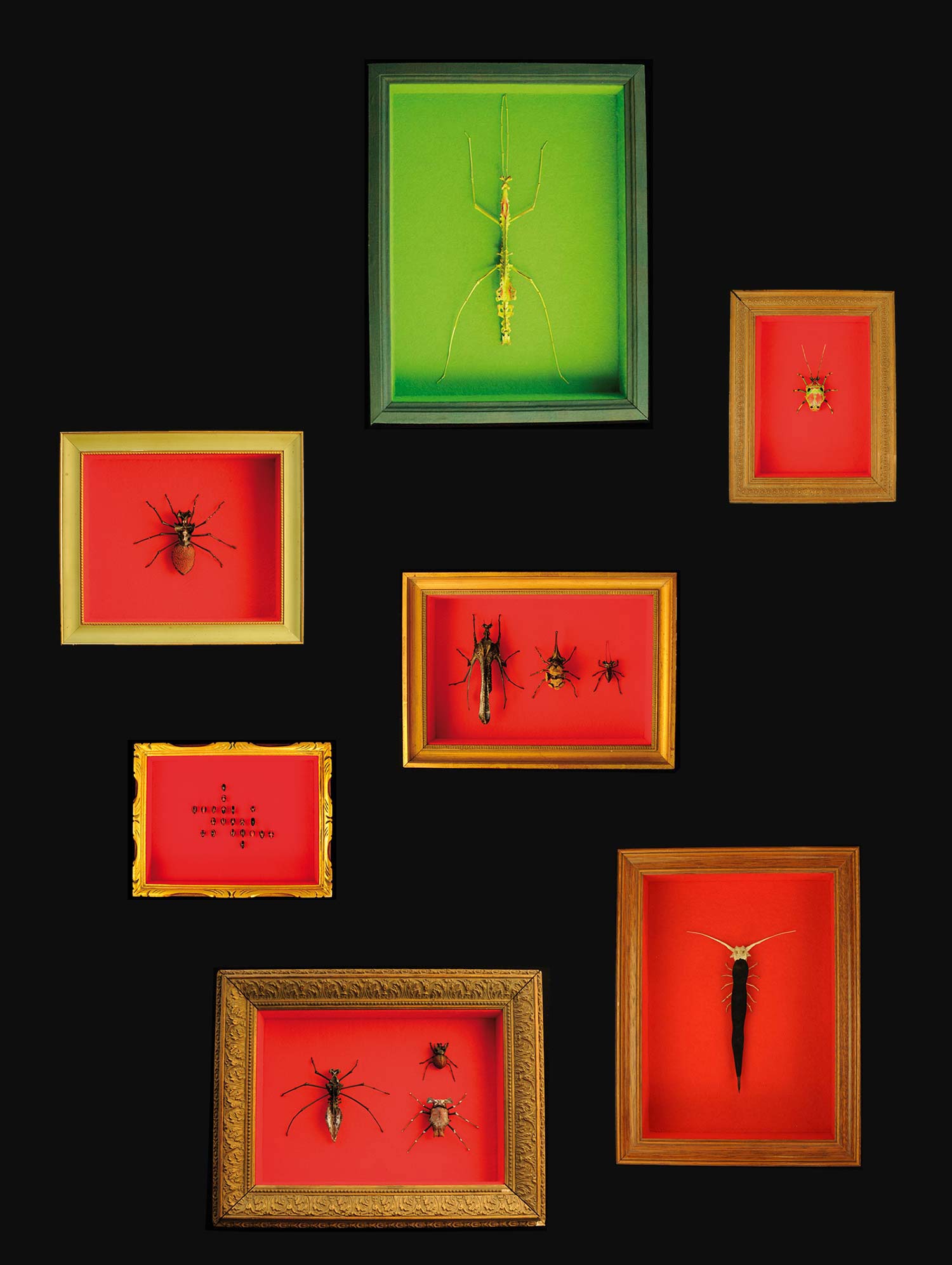 composition des boîtes 3