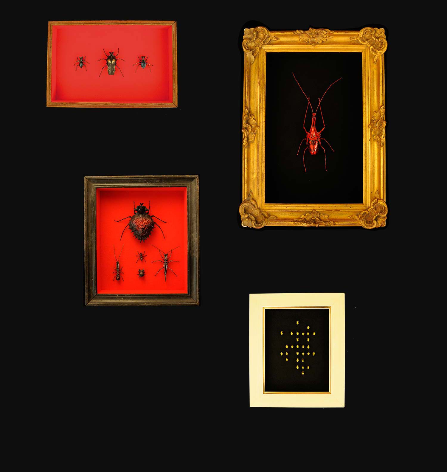 composition des boîtes 4