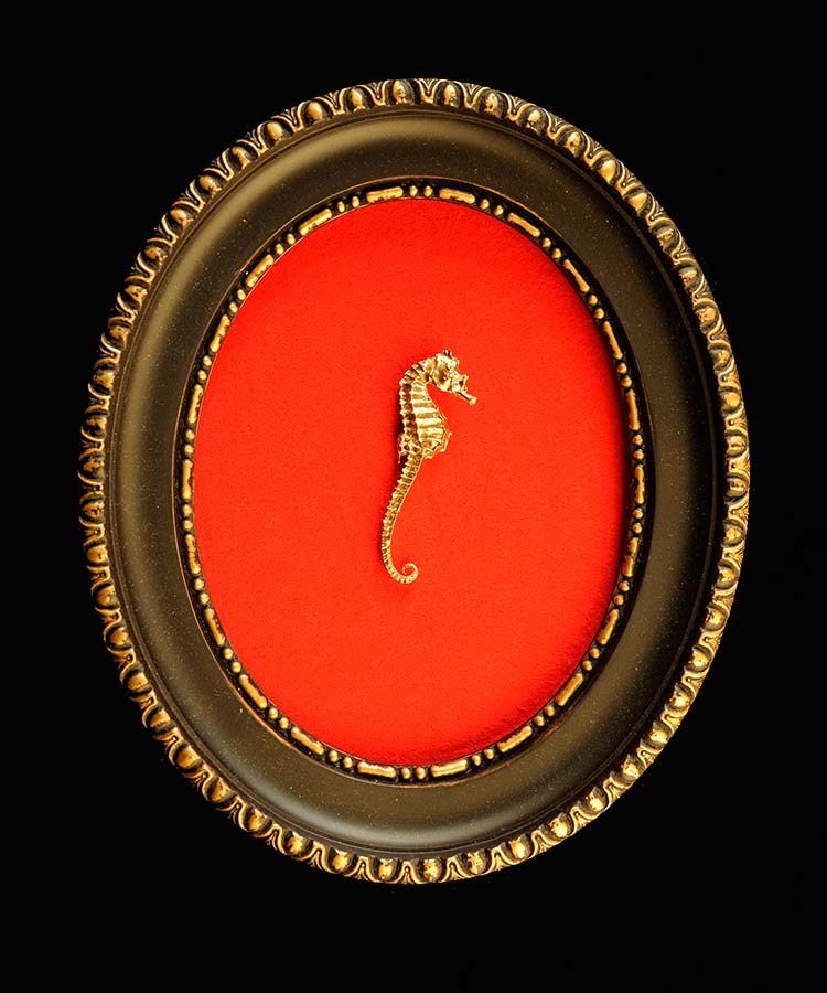hippocampe 24 carat